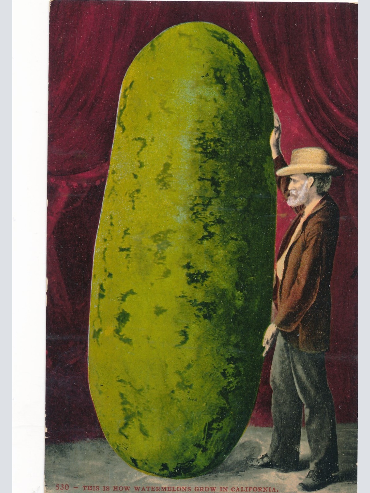 Motiv - Karte Riesen Wassermelone mit Mann Ansichtskarte (11791)