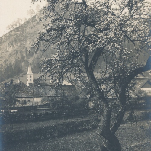 AK, Hohenberg, Niederösterreich (S3329)