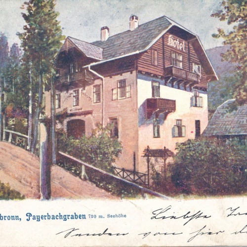 AK, Payerbach, Niederösterreich (S3295)