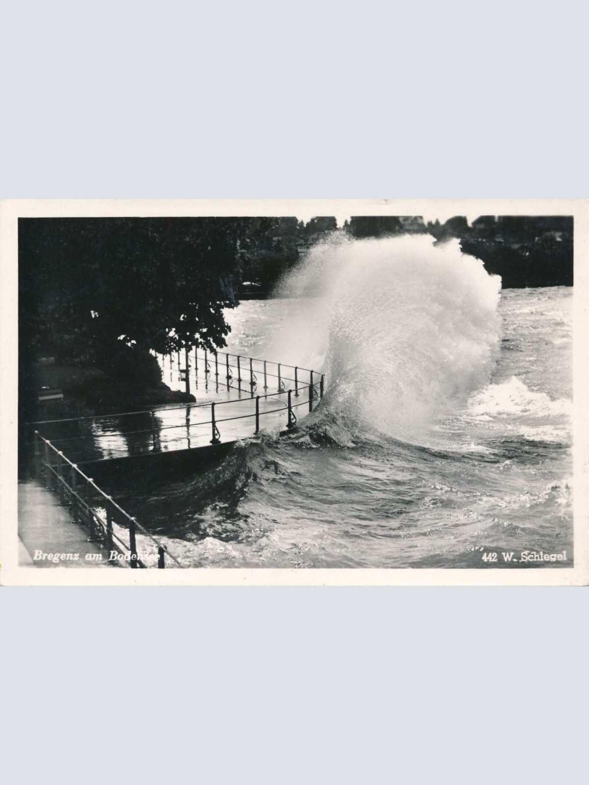 AK, Bregenz am Bodensee, Vorarlberg (S3430)