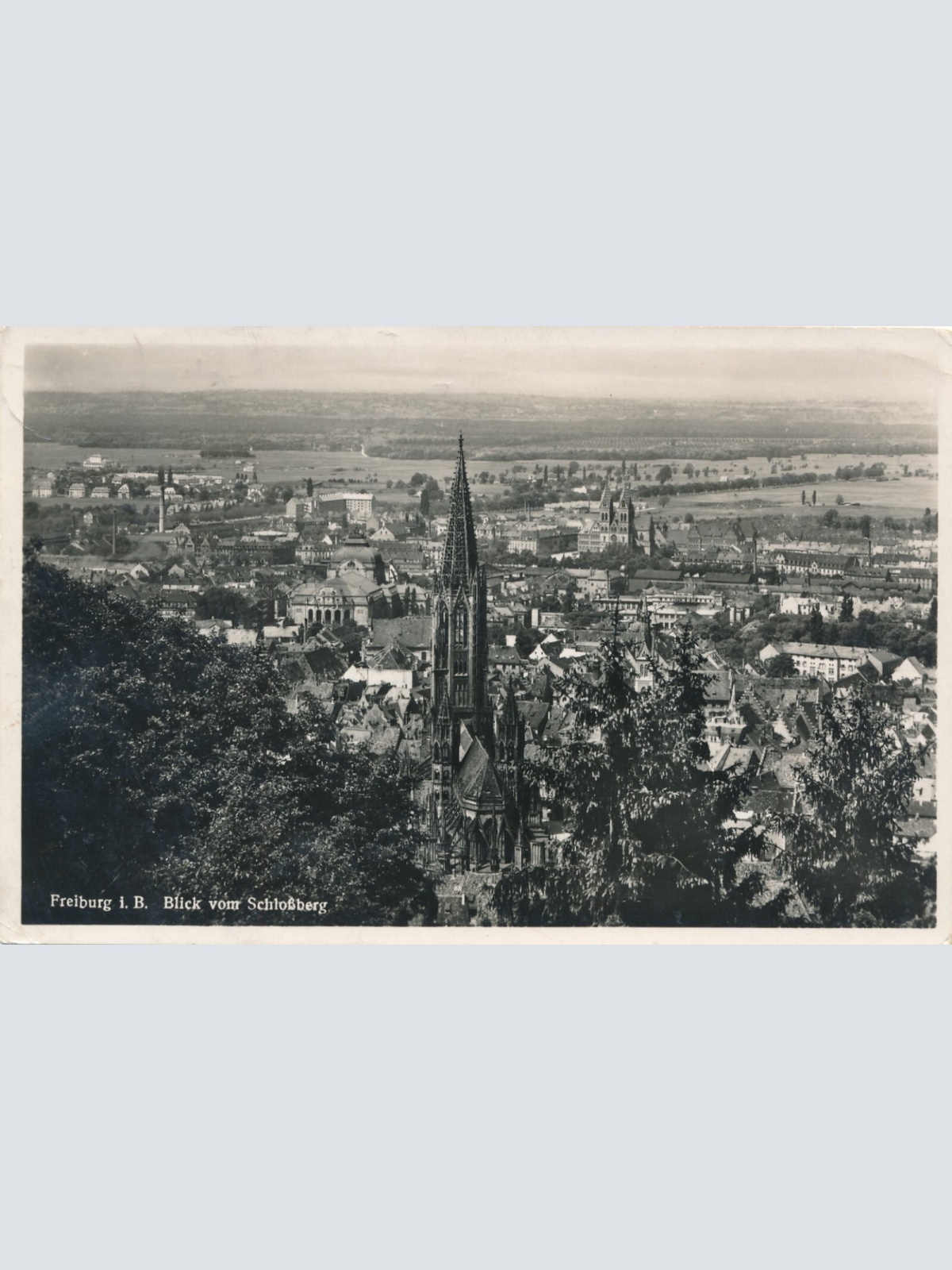 AK, Freiburg im Breisgau, Baden-Württemberg, Ansichtskarte (S3640)