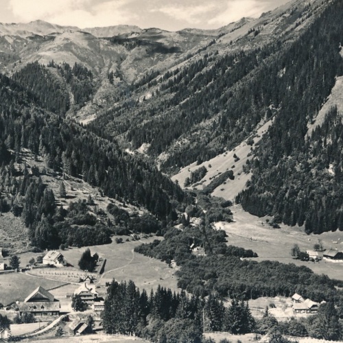 AK, Donnersbachwald, Steiermark (S3495)