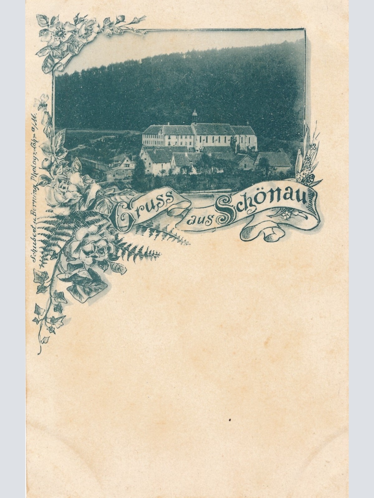 AK, Gruß aus Schönau, Oberösterreich (S3541)