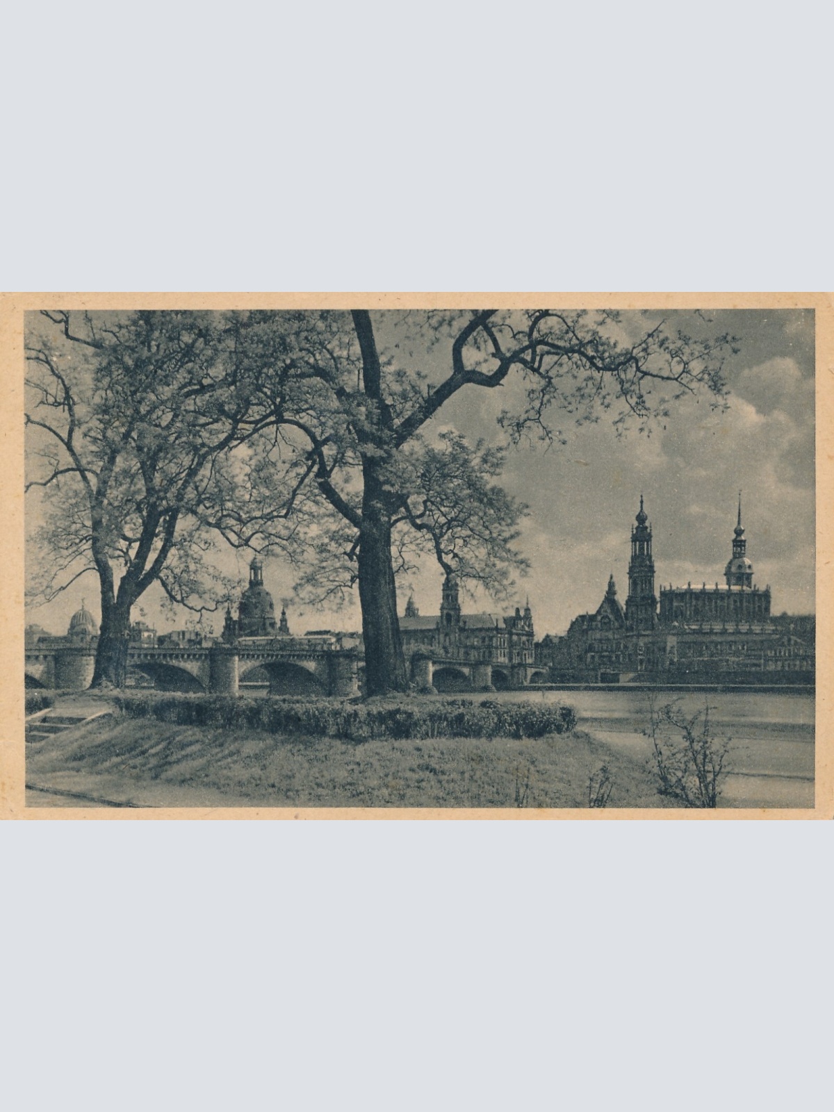 AK, Dresden, Sachsen, Ansichtskarte (S3817)