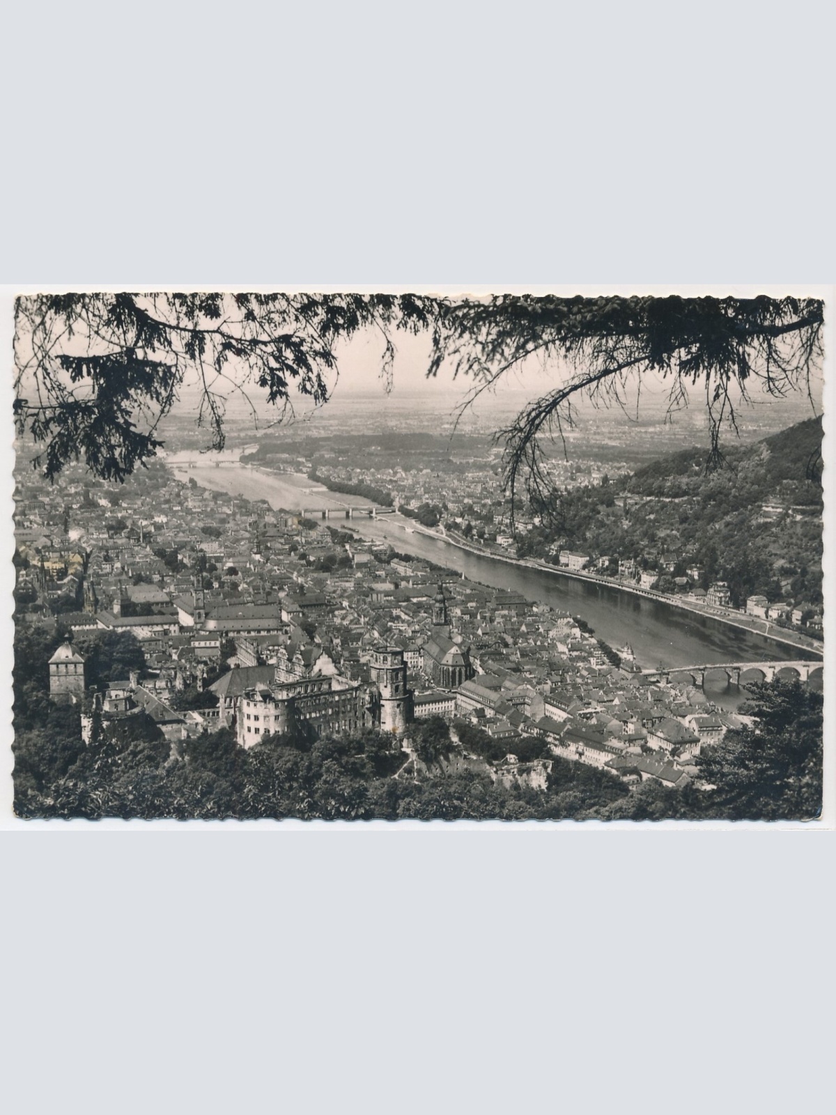 AK, Heidelberg, Baden-Württemberg, Ansichtskarte (S3824)