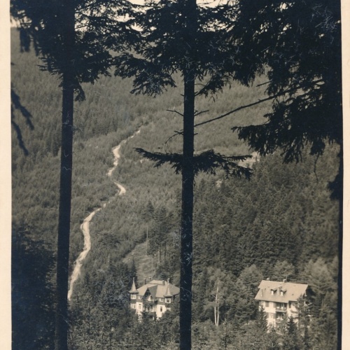 AK, Altenberg, Sachsen, Waldbärenburg, Ansichtskarte (S3847)