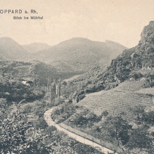 AK, Boppard, Rheinland-Pfalz, Ansichtskarte (S3850)