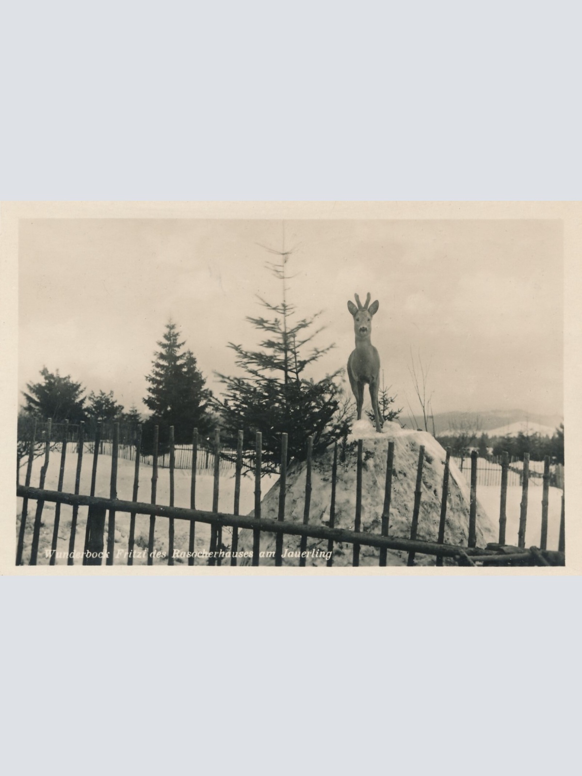 AK, Spitz, Niederösterreich, Ansichtskarte (S4012)