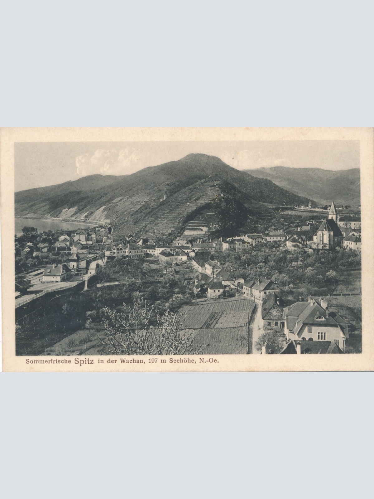 AK, Spitz, Niederösterreich, Ansichtskarte (S4016)