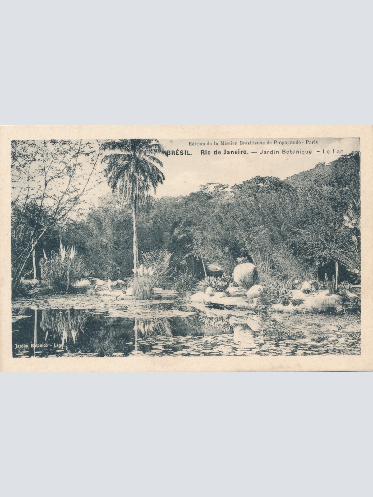 AK, Brasilien, Rio de Janeiro,  Ansichtskarte (S4191)