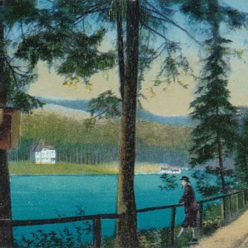 AK vom Erlaufsee Steiermark Ansichtskarte (14114)