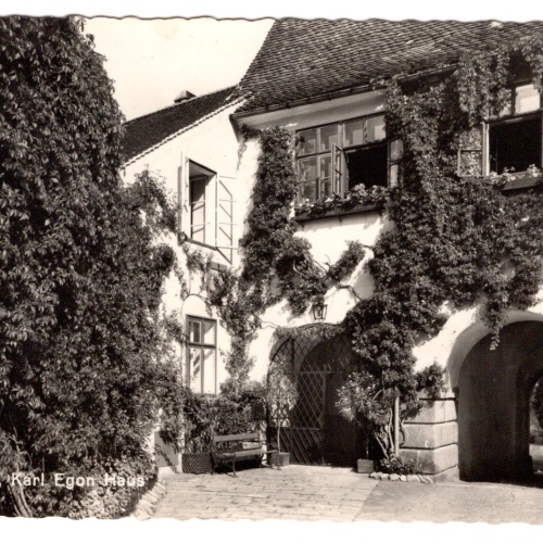 AK, Weitra, Niederösterreich, Egon Haus, Ansichtskarte (S4713)