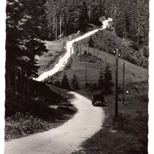 AK, Niederalpl, Steiermark,  Ansichtskarte (S4758)