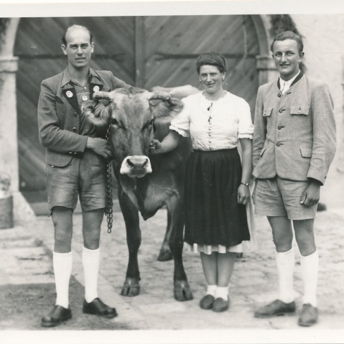 Foto - AK Annodazumals zwei Männer und eine Frau mit Kuh Ansichtskarte (14171)