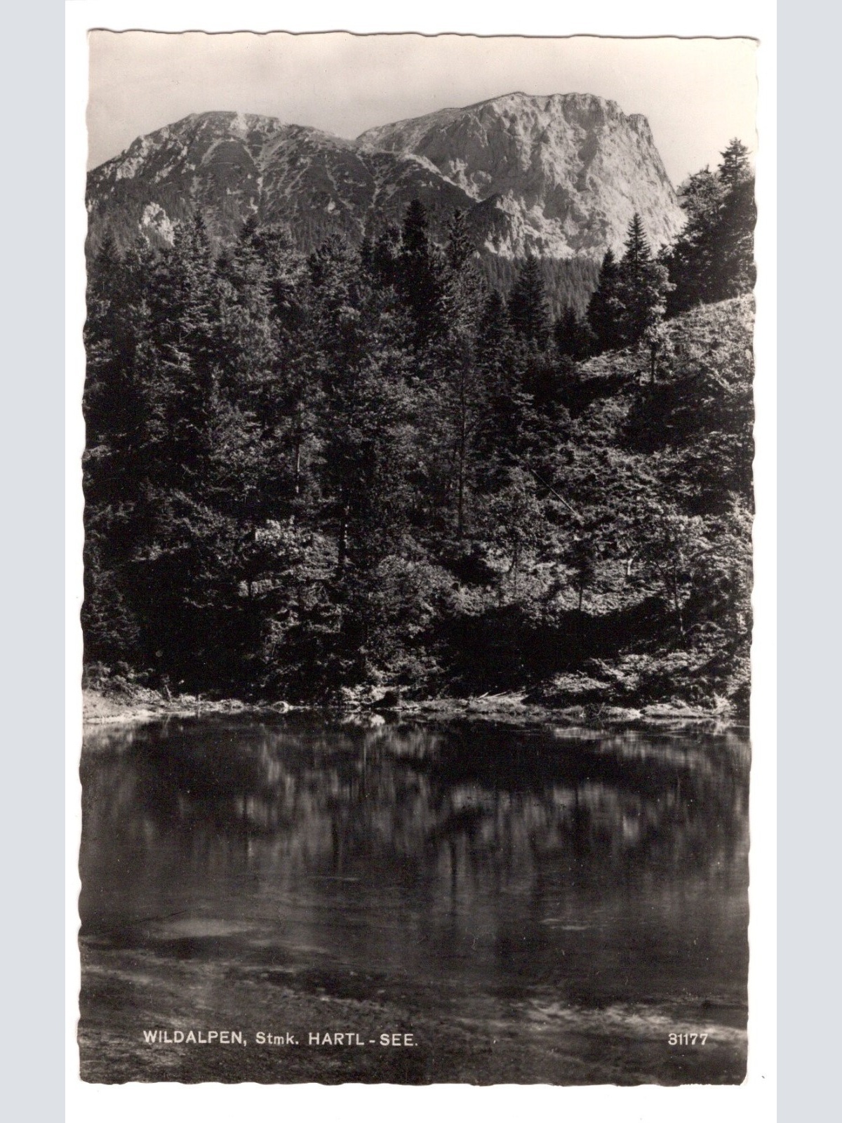 AK, Wildalpen, Steiermark, Ansichtskarte (S5175)