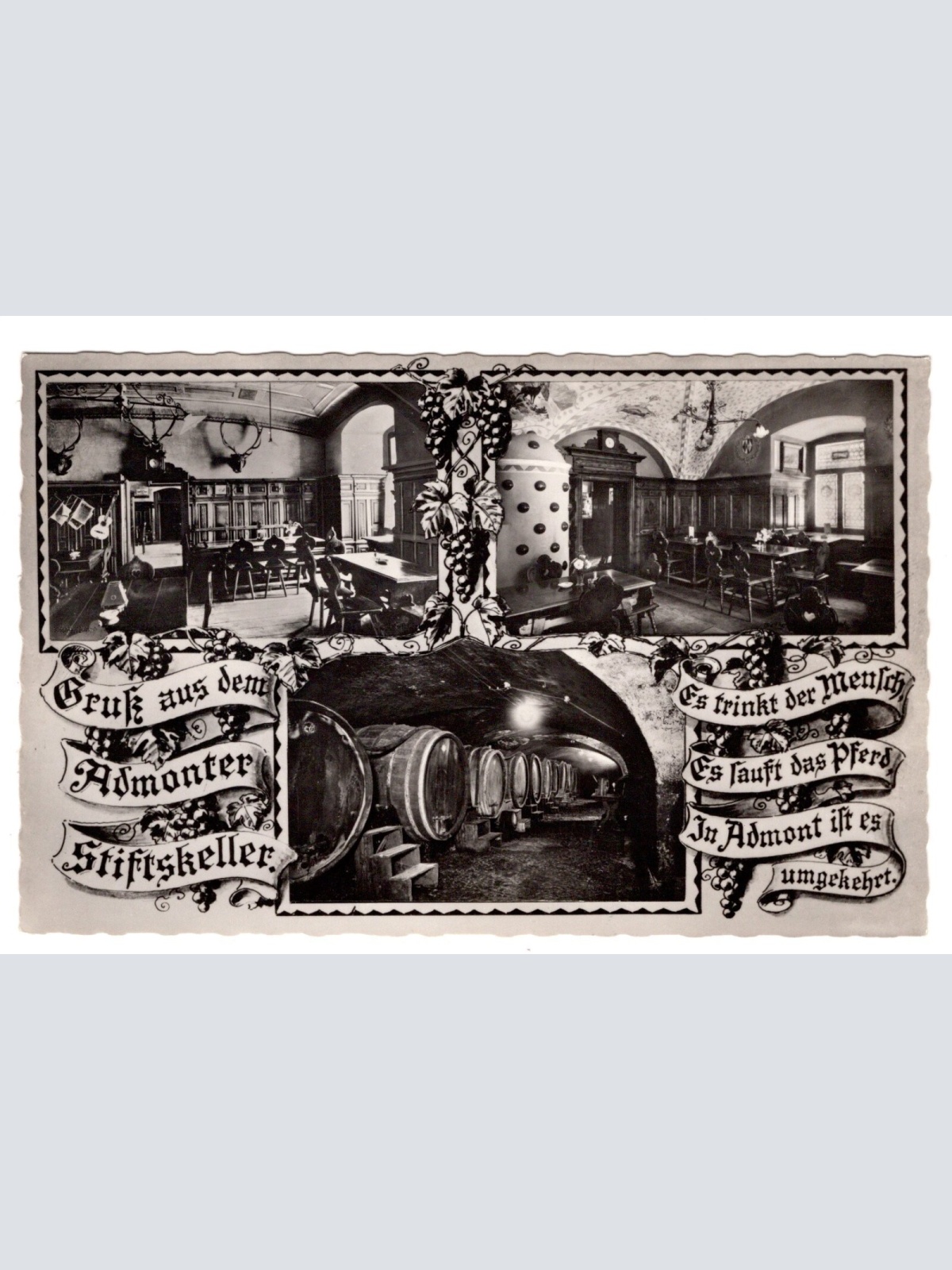 AK, Admonter Stiftskeller, Steiermark, Ansichtskarte (S5185)