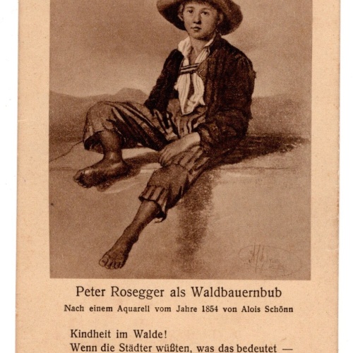 AK, Peter Rosegger als Waldbauernbub, Ansichtskarte (S5323)
