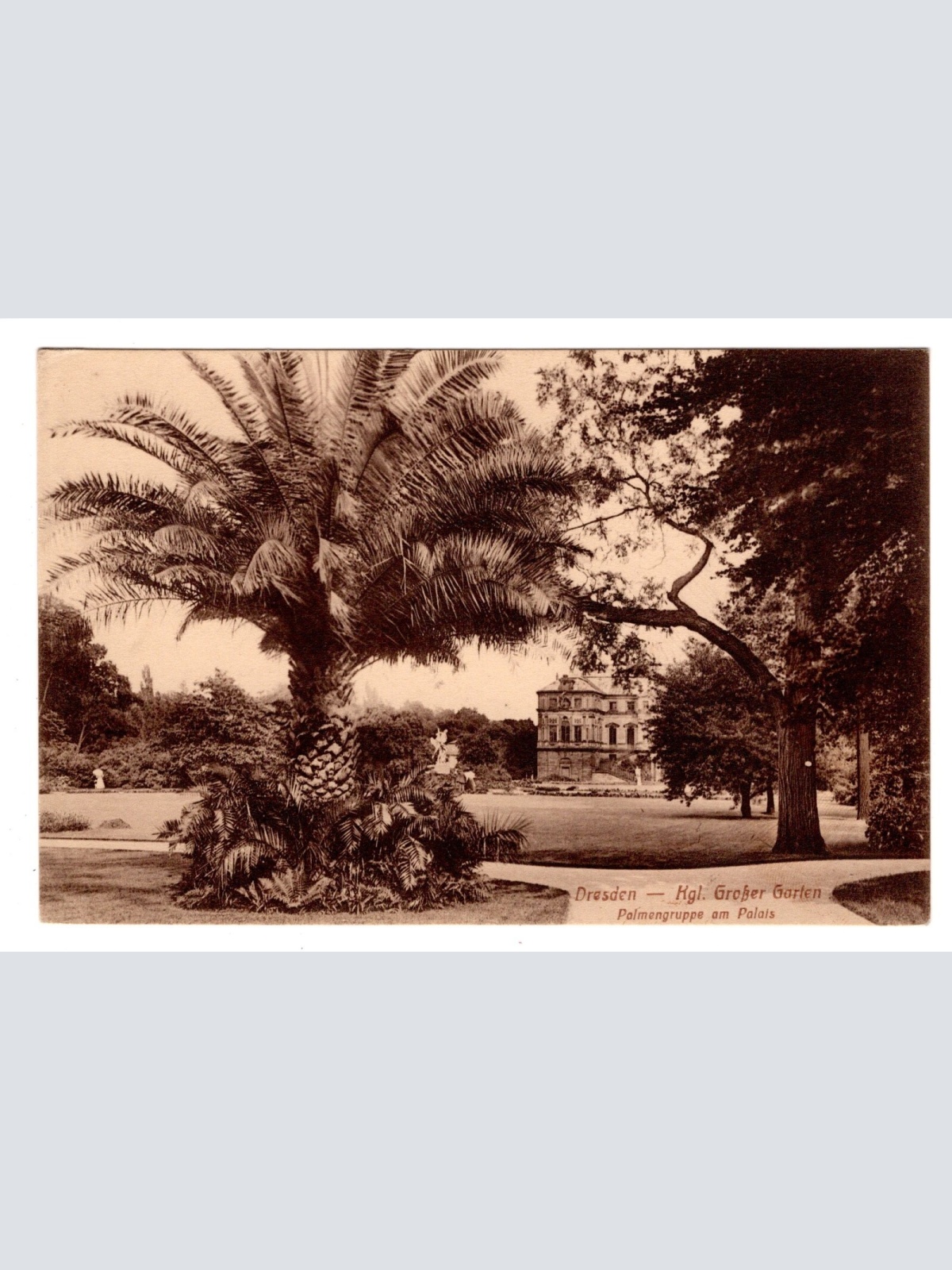 AK, Dresden, Kgl. Großer Garten, Sachsen, Ansichtskarte (S5519)