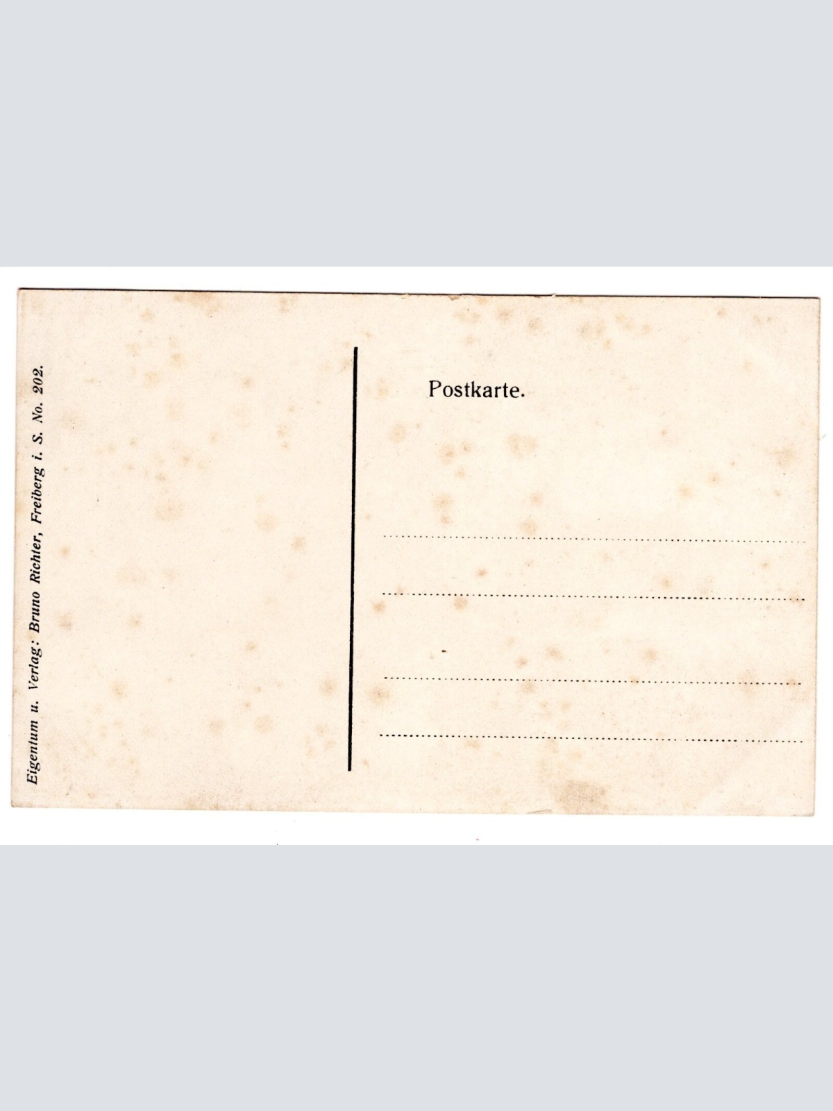 AK, Freiberg, Blick nach dem König Albert Park, Sachsen, Ansichtskarte (S5547)