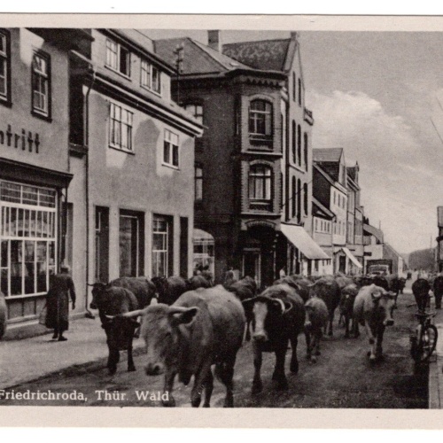 AK, Friedrichroda, Thüringen, Ansichtskarte (S5741)