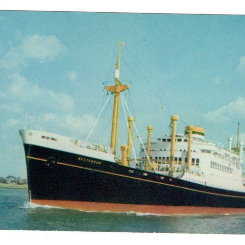 AK, Holland-America Line, m.v. Westerdam, Ansichtskarte (S5897)