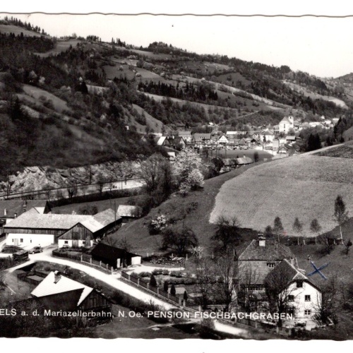 AK, Frankenfels, Pension Fischbachgraben Niederösterreich, Ansichtskarte (S5929)