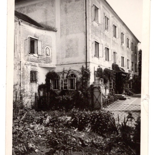 AK, Wallsee-Sindelburg, Niederösterreich, Ansichtskarte (S5971)