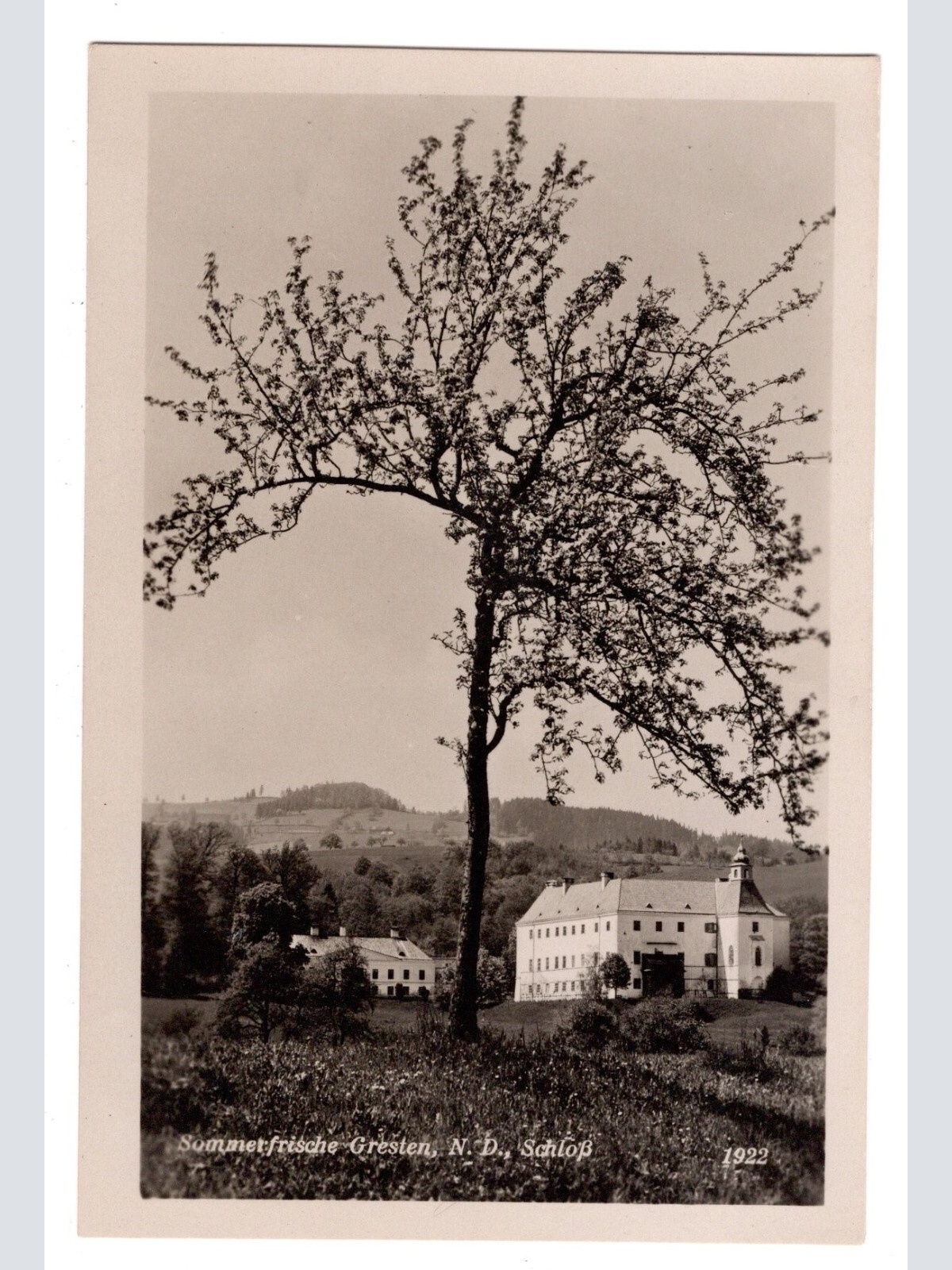AK, Gresten, Schloss, Niederösterreich, Ansichtskarte (S6044)