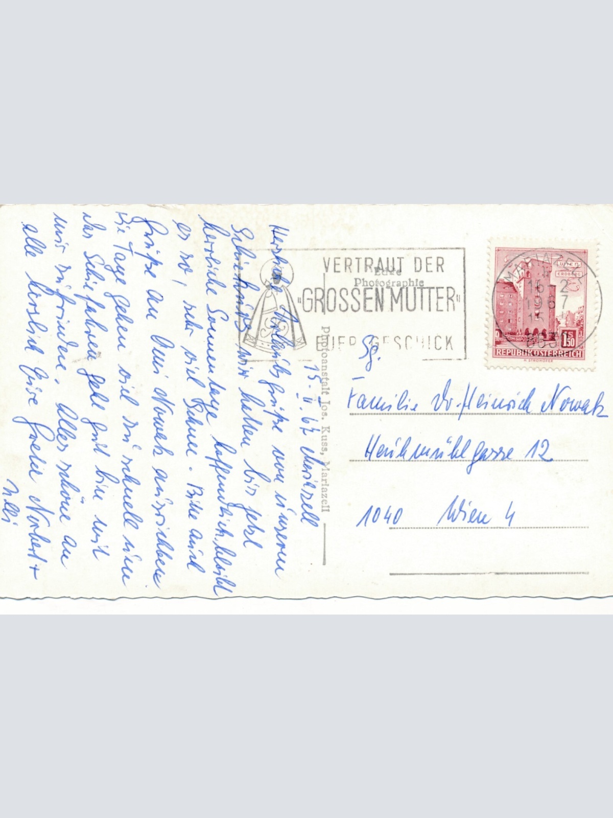 AK Hirschfütterung bei aus Maria Zell Steiermark Ansichtskarte (14417)