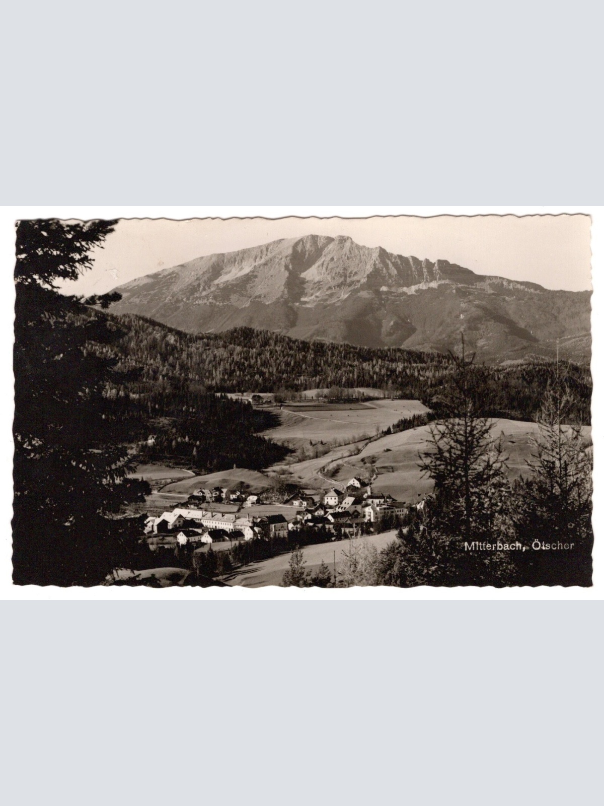 AK, Mitterbach, Ötscher, Niederösterreich, Ansichtskarte (S6155)