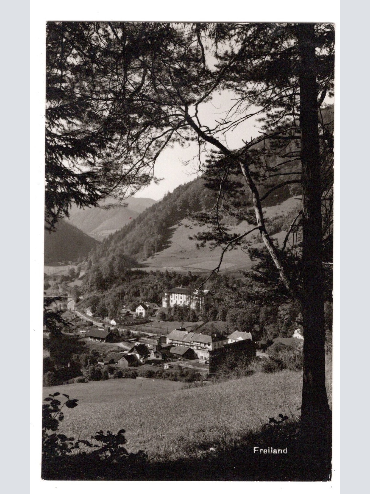 AK, Freiland, Niederösterreich, Ansichtskarte (S6156)