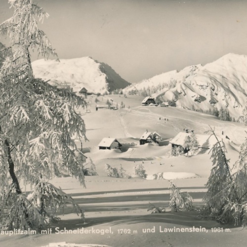 AK vom Schigebiet Tauplitzalm mit Schneiderkoge Steiermark Ansichtskarte (14510)