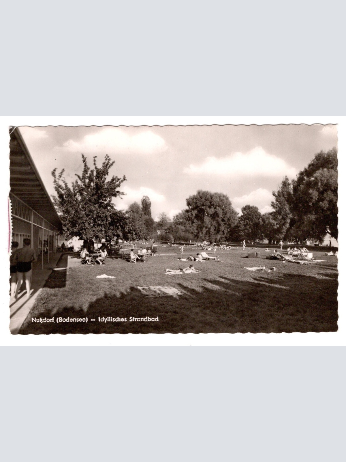 AK, Nussdorf am Bodensee, Baden-Württemberg, Ansichtskarte (S6283)