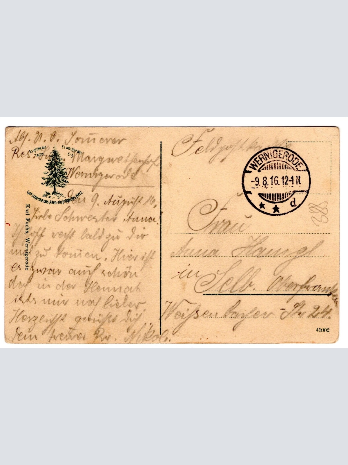 AK, Wernigerode, Rathaus, Marktplatz, Sachsen-Anhalt, Ansichtskarte (S6329)