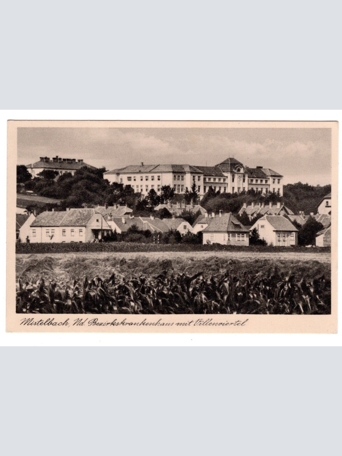 AK, Mistelbach, Niederösterreich, Ansichtskarte (S6437)