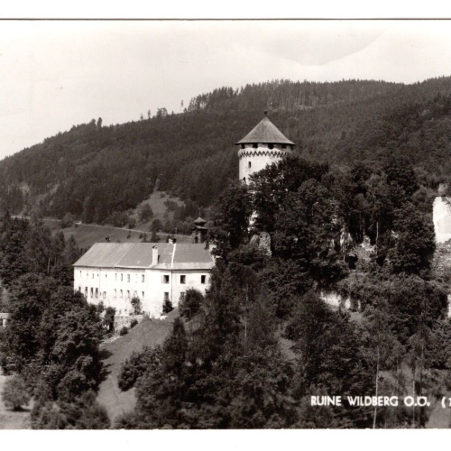 AK, Ruine Wildberg, Oberösterreich, Ansichtskarte (S6456)