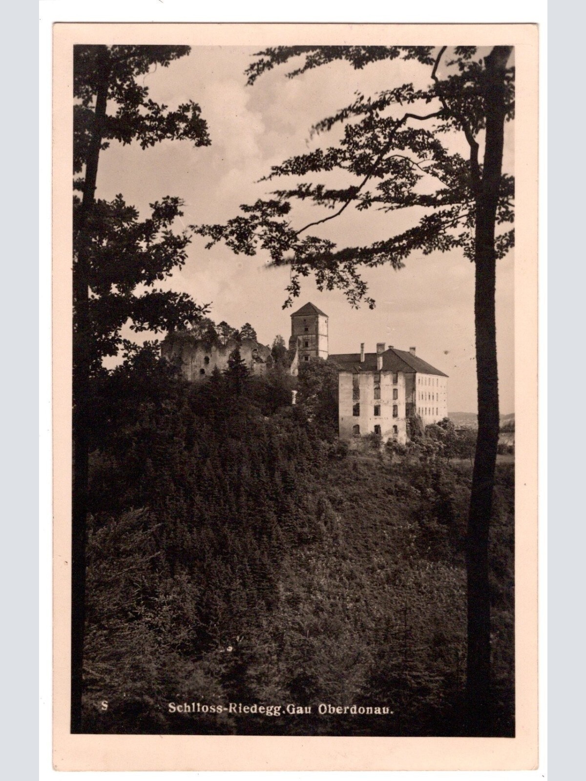 AK, Schloss Riedegg, Oberösterreich, Ansichtskarte (S6515)