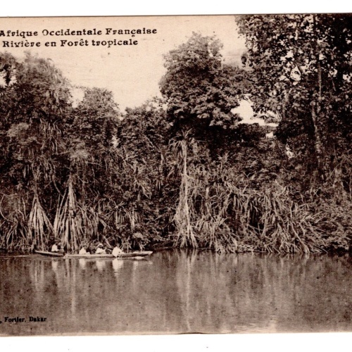 AK, Afrique Occidentale Francaise en riviere en Foret, Ansichtskarte (S6618)