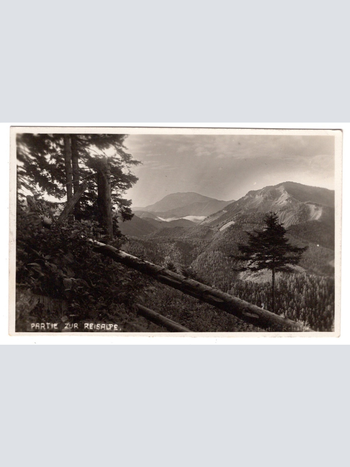 AK, Partie zur Reisalpe, Niederösterreich, Ansichtskarte (S6650)