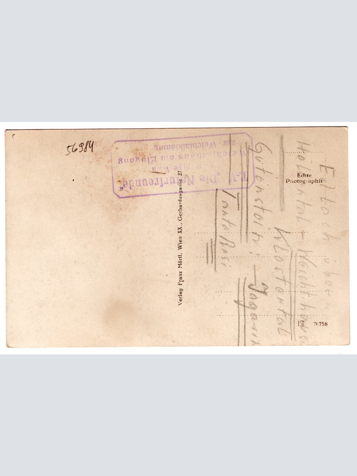 AK, Gutenstein, Niederösterreich, Ansichtskarte (S6685)