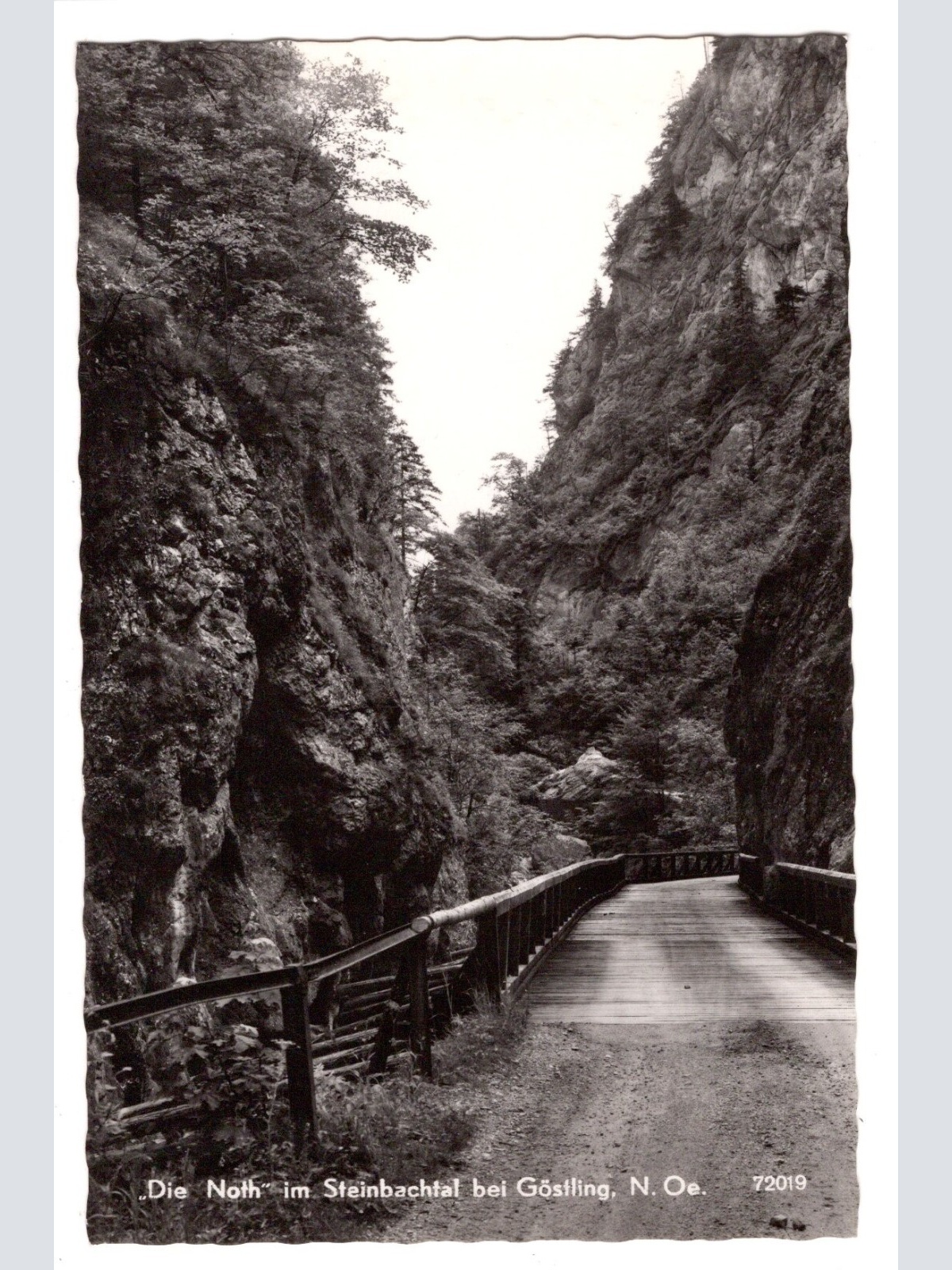 AK, Göstling, Niederösterreich, Ansichtskarte (S6728)