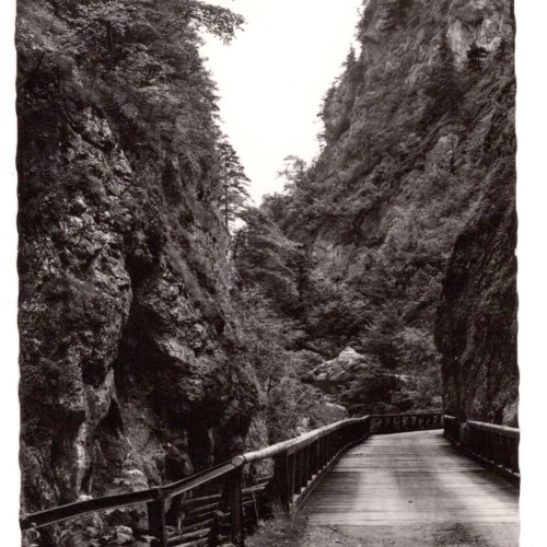 AK, Göstling, Niederösterreich, Ansichtskarte (S6728)