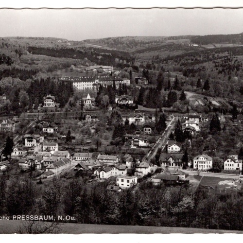 AK, Pressbaum, Niederösterreich, Ansichtskarte (S6894)