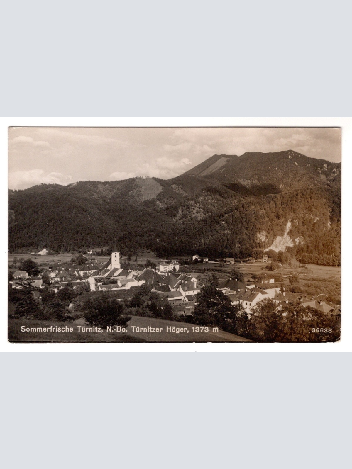 AK, Türnitzer Höger, Niederösterreich, Ansichtskarte (S6901)