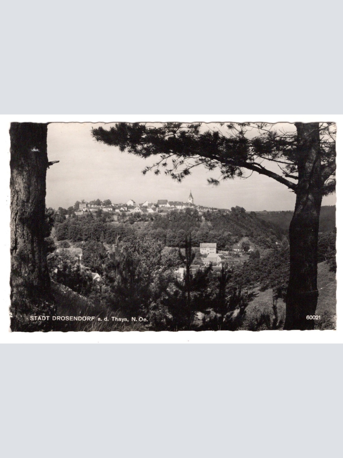 AK, Drosendorf an der Thaya, Niederösterreich, Ansichtskarte (S6919)