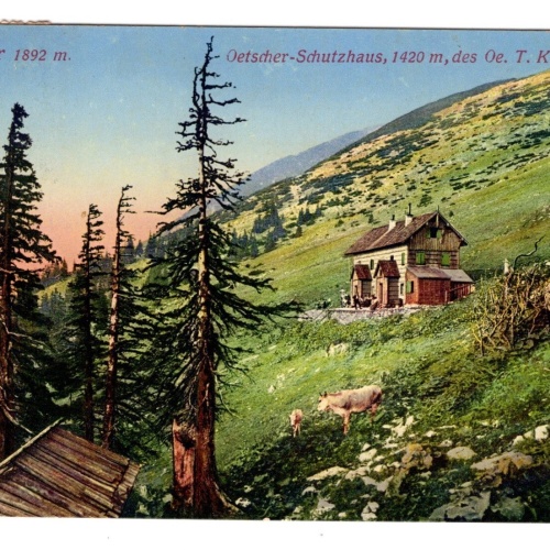 AK, Ötscher-Schutzhaus, Niederösterreich, Ansichtskarte (S6935)