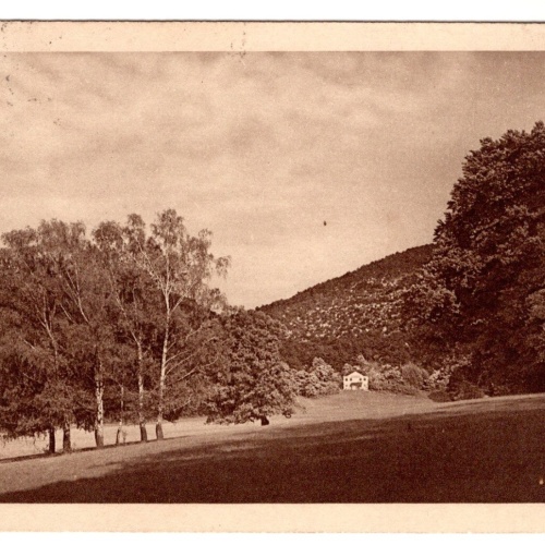 AK, Mödling - Vorderbrühl, Meiereiwiese mit Jägerhaus, Ansichtskarte (S7228)