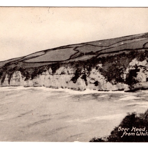 AK, Beer Head from white cliff, England, Ansichtskarte (S7260)