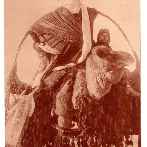 AK, Voyage de Noce, Ansichtskarte (S7268)