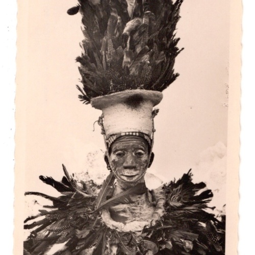 AK, Guinee, Danseur oiseau costume de plumes, Ansichtskarte (S7279)
